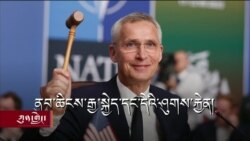  ནུབ་ཆིངས་རྒྱ་སྐྱེད་དང་དེའི་ཤུགས་རྐྱེན། 