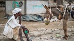 Emissão Vespertina 20 de junho: Guerra civil no Sudão provocou uma das piores crises humanitárias do mundo em décadas