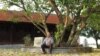 Ảnh chụp ông Lê Văn Hòa ở Ninh Bình, theo trang Facebook cá nhân của ông.