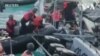 菲律賓軍方公佈視頻，指責中國海警在南中國海的行為是“赤裸裸的侵略”
