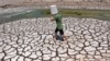 La ONU advierte: la humanidad tiene dos años "para salvar al mundo"
