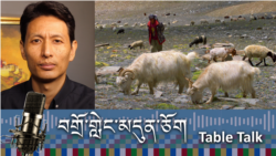 བགྲོ་གླེང་མདུན་ཅོག བྱང་ཐང་འབྲོག་པའི་མི་ཚེའི་འགྱུར་བ།