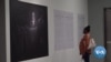 'Democracy Exhibitions' Come to Washington 