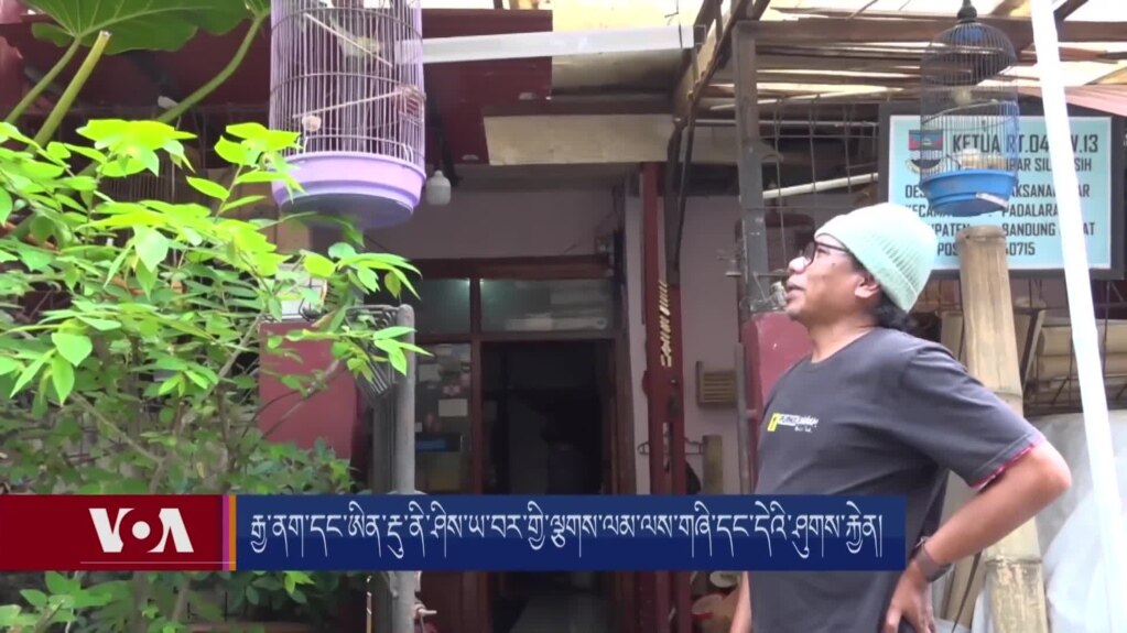རྒྱ་ནག་དང་ཨིན་རྡུ་ཎེ་ཤི་ཡའི་བར་གྱི་ལྕགས་ལམ་གསར་རྒྱག་གི་ལས་གཞི་དང་དེའི་ཤུགས་རྐྱེན།
