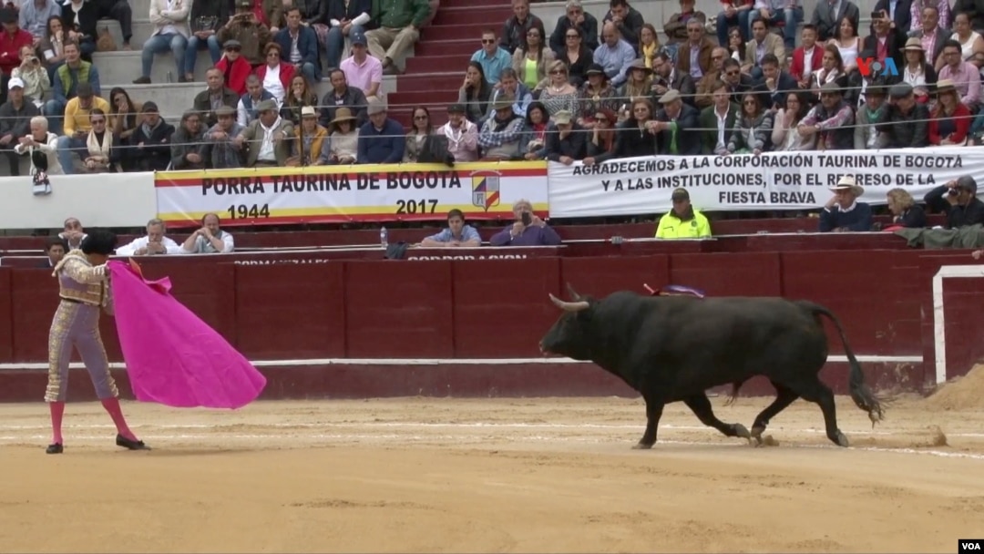 Una corrida de toros en la Plaza de Toros de la Santamaría de Bogotá.