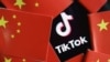 TikTok上的台灣政治風向：民進黨一面倒挨打 柯文哲聲量高