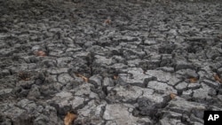 Terra rachada é tudo o que resta do que era o fundo de um bebedouro de gado em Mudzi, no Zimbabué, a 2 de julho de 2024. No Zimbabué e em toda a África Austral, uma seca induzida pelo El Nino está a afetar milhões de pessoas.