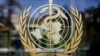 WHO identifies priority pathogens for new vaccines development