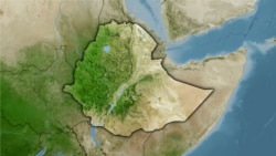 በሰሜን ሸዋ የሰላም ጥሪ ያቀረቡ ሰልፈኞች የክልሉን መንግሥት በጣልቃ ገብነት ወቀሱ