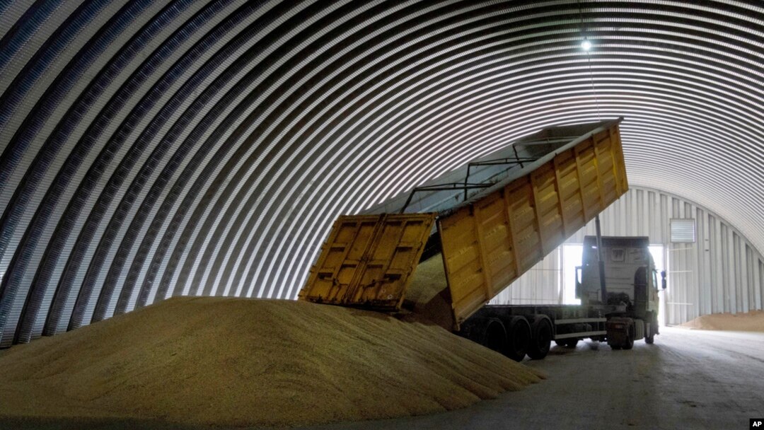 FILE - A dump track unloads grain in a granary in the village of Zghurivka, Ukraine, on Aug. 9, 2022. 