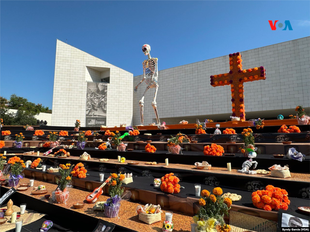 En el altar de muertos de Nuevo León se colocaron 750 macetas de flor de cempasúchil, la cual distingue las ofrendas para los difuntos.