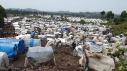 Murisanga