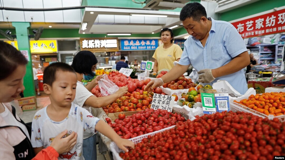 北京一家早市的顧客在挑撿西紅柿。（2023年8月9日）