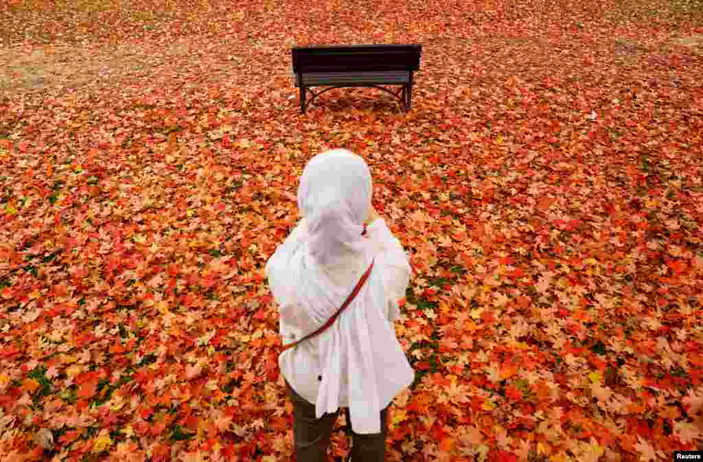 A woman photographs the vivid autumn colors of fallen leaves from a tree on the National Mall in Washington, Oct. 26, 2022.