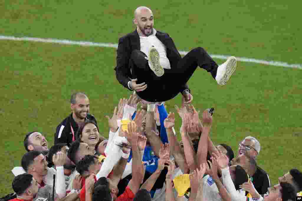 Morocco players celebrate by tossing the head coach Walid Regragui into the air at the end of the World Cup group F soccer match between Canada and Morocco at the Al Thumama Stadium in Doha , Qatar.
