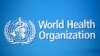 WHO negotiators fail to draft pandemic treaty
