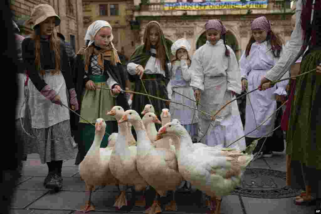 Girls lead a gaggle of geese, backdropped by a banner against the war in Ukraine, during a Saint Martin's Day procession in Prague. Saint Martin's Day marks the end of the harvest season as well as the start of winter.