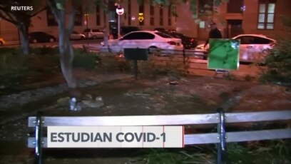 Estudian Covid-19 en las ratas de Nueva York