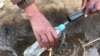 Simple Water Test could Prevent Crippling Bone Disease