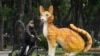 Why Vietnam Is Celebrating the Year of the Cat, Not the Rabbit