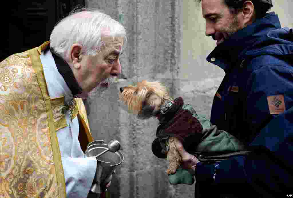 A dog is blessed by a priest during San Anton Abad's Day (Saint Anthony, patron saint of animals) at San Anton church in Madrid, Spain.