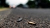 En esta foto del 16 de octubre de 2019, casquillos de bala gastados ensucian el sitio donde un convoy de policías del estado de Michoacán fue emboscado y asesinado por sicarios del cártel de Jalisco, en El Aguaje, México.