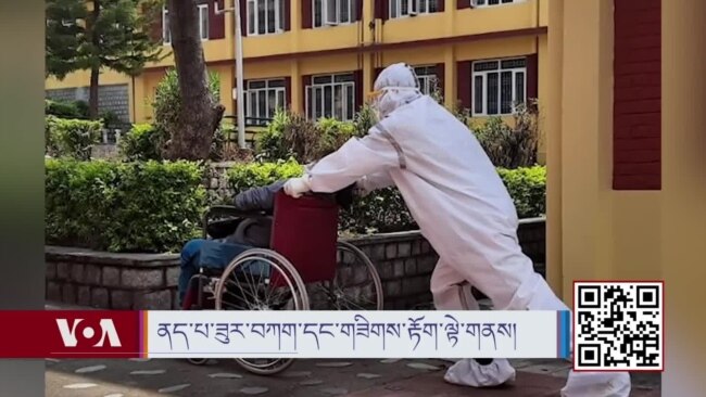 ནད་པར་གཟིགས་རྟོག་ལྟེ་གནས་དང་སྨན་བཅོས་ཞབས་ཞུ།