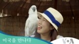 [미국을 만나다] 하와이 관광 명소