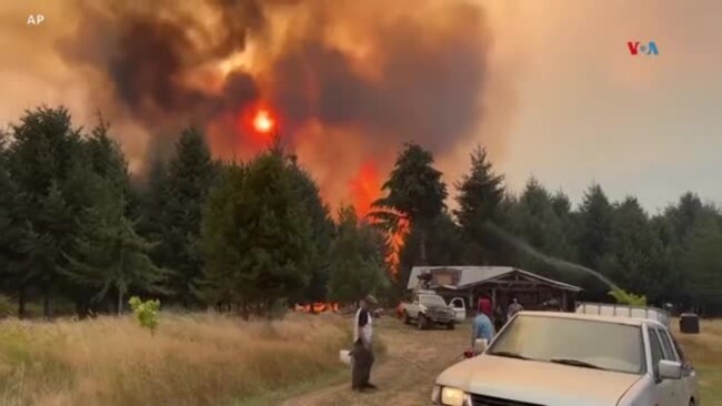 Miles de personas intentan controlar los incendios en la Patagonia argentina 