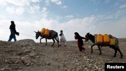 FILE - An Afghan internally displaced family carries water containers on their donkeys on the outskirts of Jalalabad city, Afghanistan, January 26, 2015. 