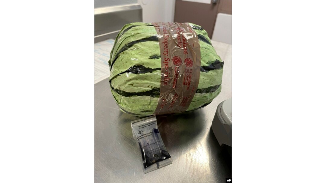 A fake watermelon used to disguised a shipment of methamphetamines is shown after a bust by US Customs and Border Protection, Aug. 16, 2024, in Otay Mesa, Calif.