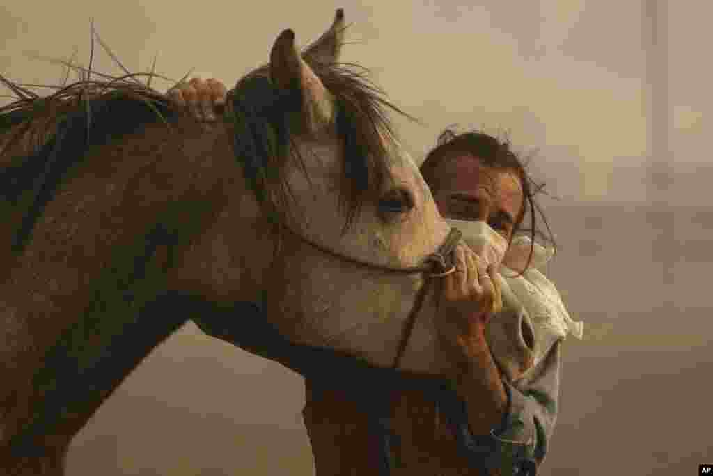 Fabio Losurdo comforts his horse, Smarty, at a ranch in Simi Valley, California, Oct. 30, 2019. A brush fire broke out just before dawn in the area north of Los Angeles.