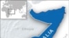 Council on Foreign Relations Report Argues US Should Pursue New Approach to Somalia