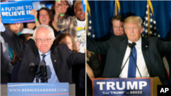 Bernie Sanders and Donald Trump winners of New Hampshire Primary Election
