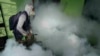 WHO launches plan to tackle growing threat of dengue, other diseases