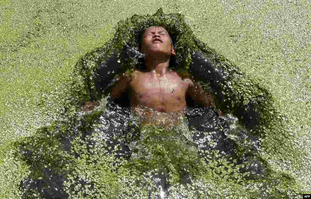 A boy jumps in a pond covered with algae at Kirtipur on the outskirts of Kathmandu.