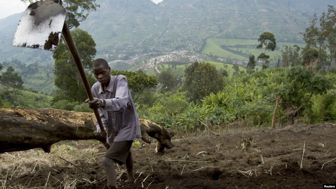 Muneman Rugema, 22, tills soil in Masisi, northwest of Goma, DRC, Dec. 19, 2008.
