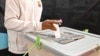 Half the World to Vote in 2024, With Global Ramifications