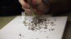 Zika Virus Can Live in Eyes and, Possibly, Tears