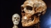 Study: Just 7 Percent of Our DNA Is Special to Modern Humans