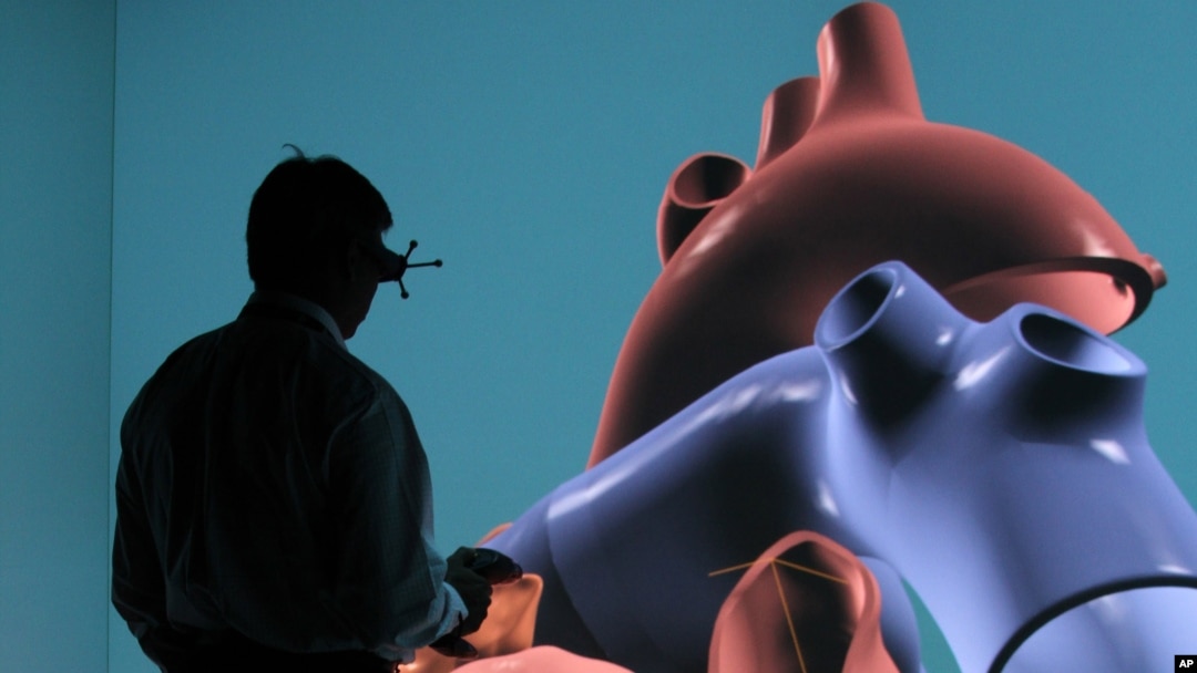 DASSAULT SYSTEMES UNVEILS 3D SIMULATED HEART