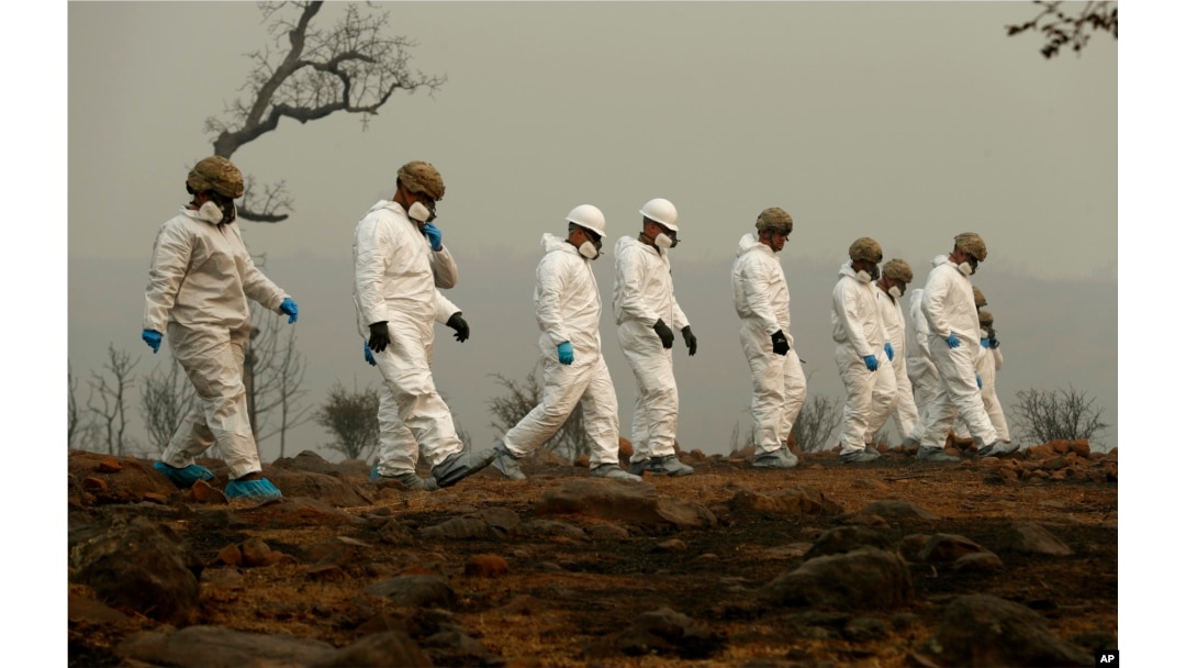 Members of the California Army National Guard search a property for human remains at the Camp fire, Nov. 14, 2018, in Paradise, Calif.
