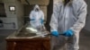 Johns Hopkins: Global COVID-19 Death Toll Surpasses 3 Million 