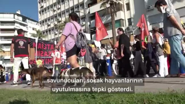 İzmir'de hayvanseverler sokak hayvanları yasasını protesto etti
