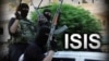 ผู้เชี่ยวชาญชี้ ISIS มีขีดความสามารถในการรบและทรัพยากรด้านการเงินสูงกว่าอัลไคด้า 