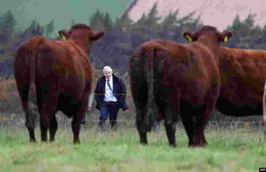 Britain's Prime Minister Boris Johnson is shown around Darnford Farm in Banchory near Aberdeen in Scotland.