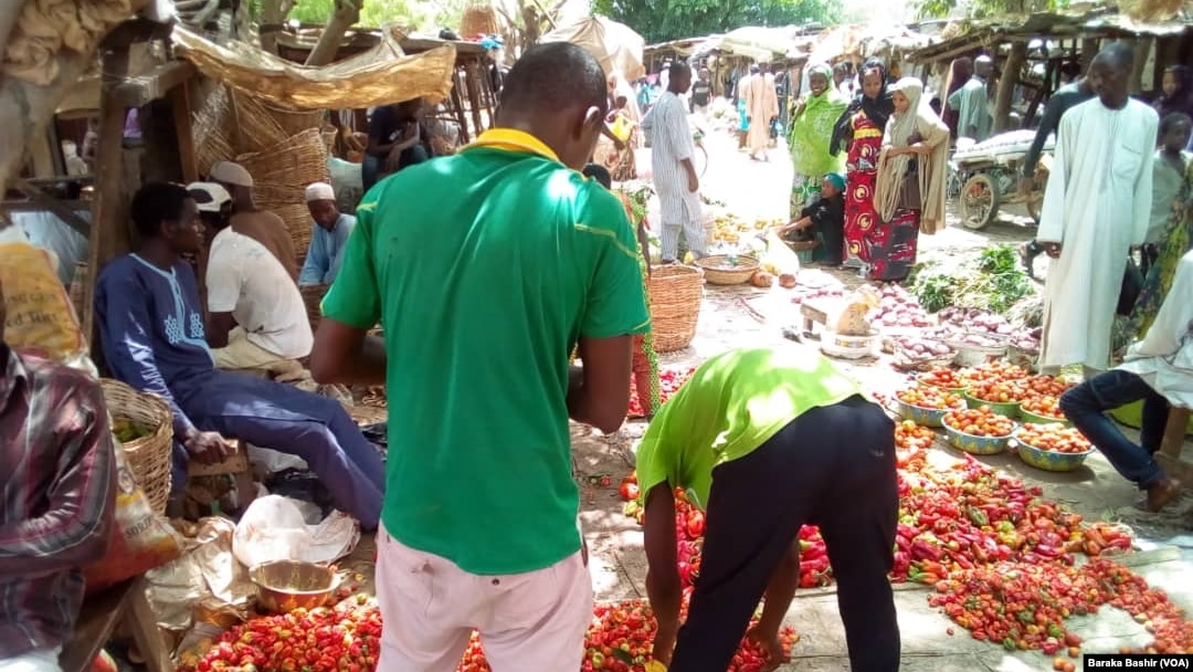 Yayin da ake hada-hadar sayen kayen masarufi a wata kasuwa a Kano (Baraka Bashir)