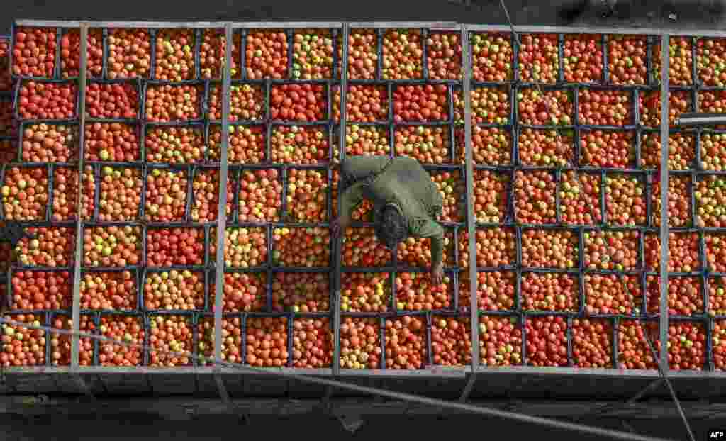 A laborer arranges tomatoes in crates at a market in Lahore, Pakistan.