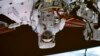 China Prepares to Send New 3-Person Crew to Space Station