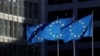 EU "지난해 3월 이후 새 대북 지원 프로그램 없어"